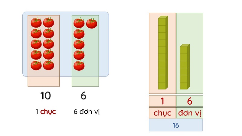 Toán lớp 1 chục và đơn vị: 3 dạng bài tập nhất định ba mẹ nên dạy cho con