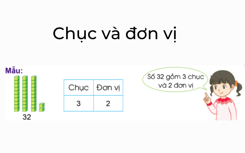 Chục và đơn vị. (Ảnh: Sưu tầm Internet)
