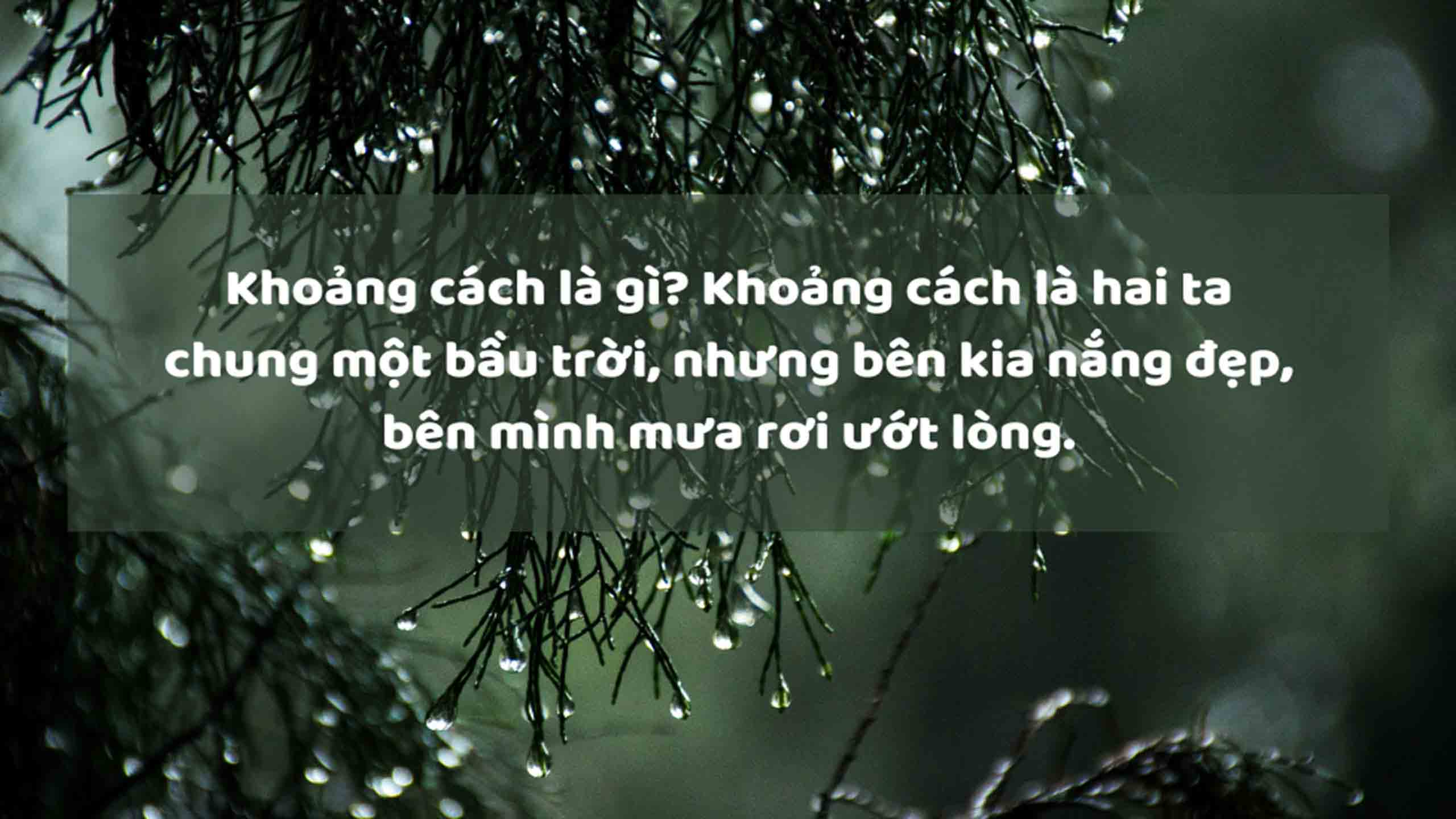stt anh di duoi mua buon 2560px 1440px 2k 10