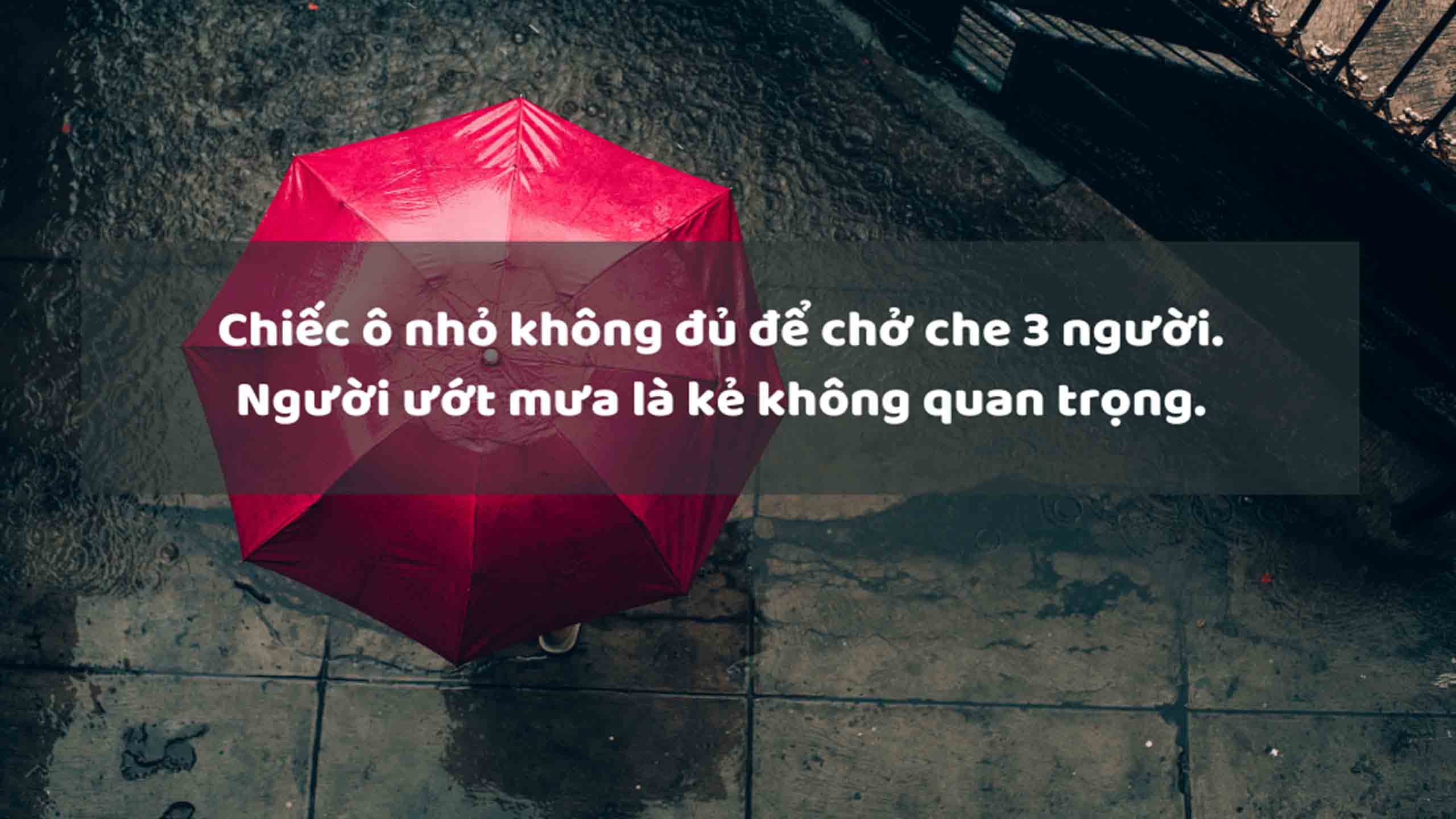 stt anh di duoi mua buon 2560px 1440px 2k 7