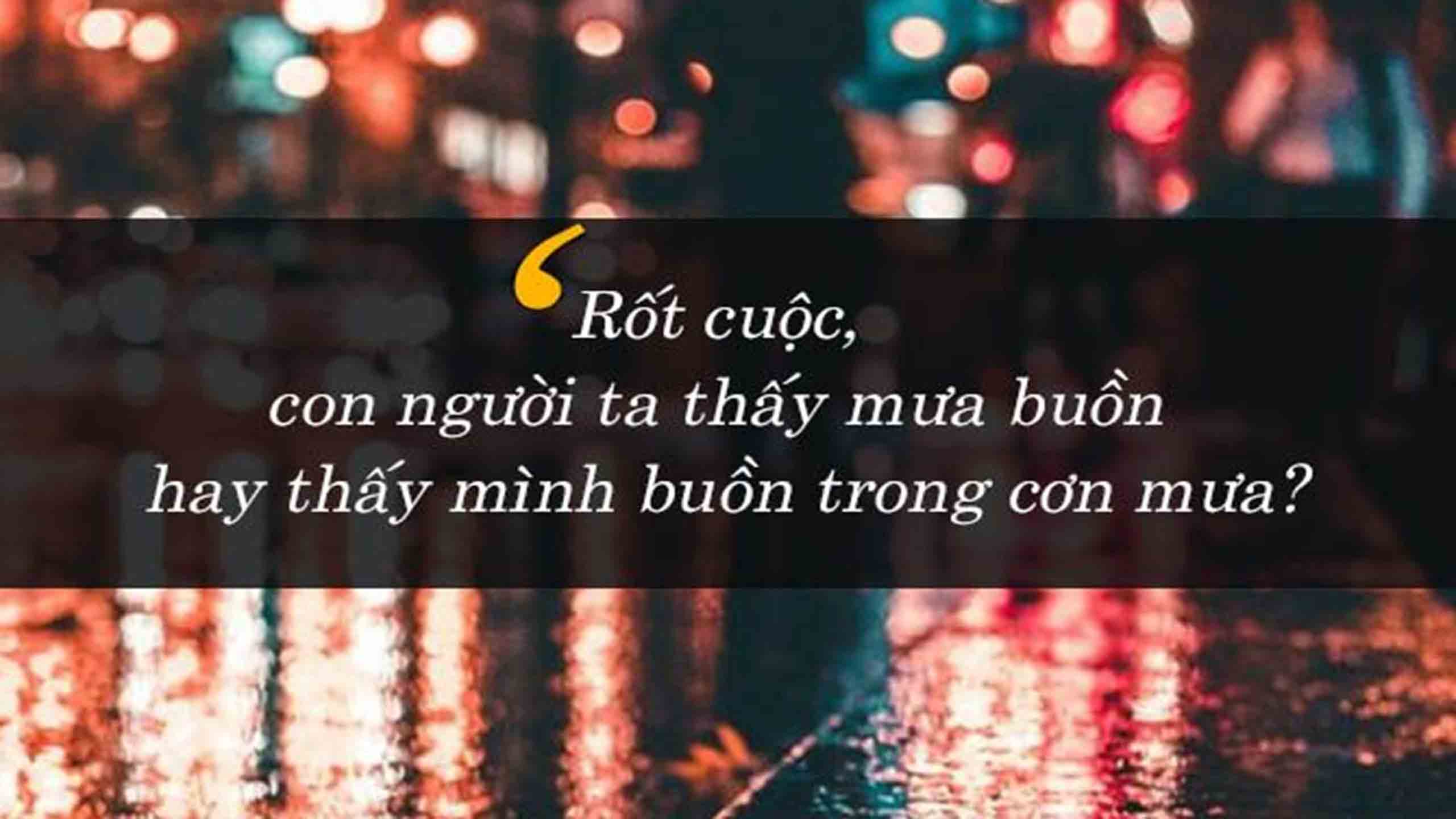 stt anh di duoi mua buon 2560px 1440px 2k 6
