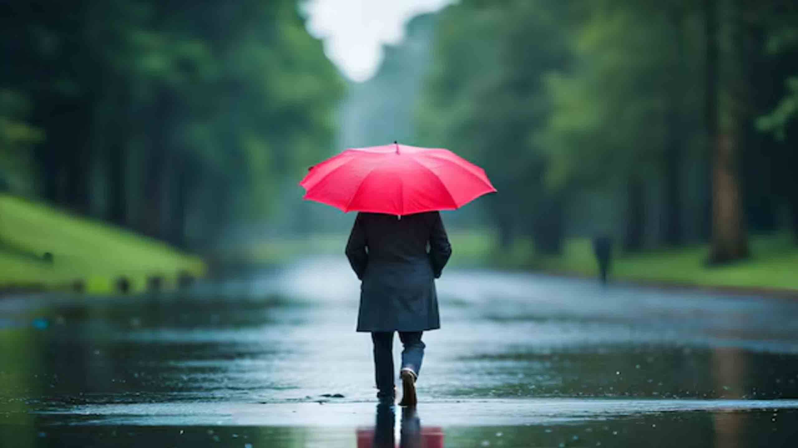 hinh anh dung duoi mua buon 2560px 1440px 2k 20