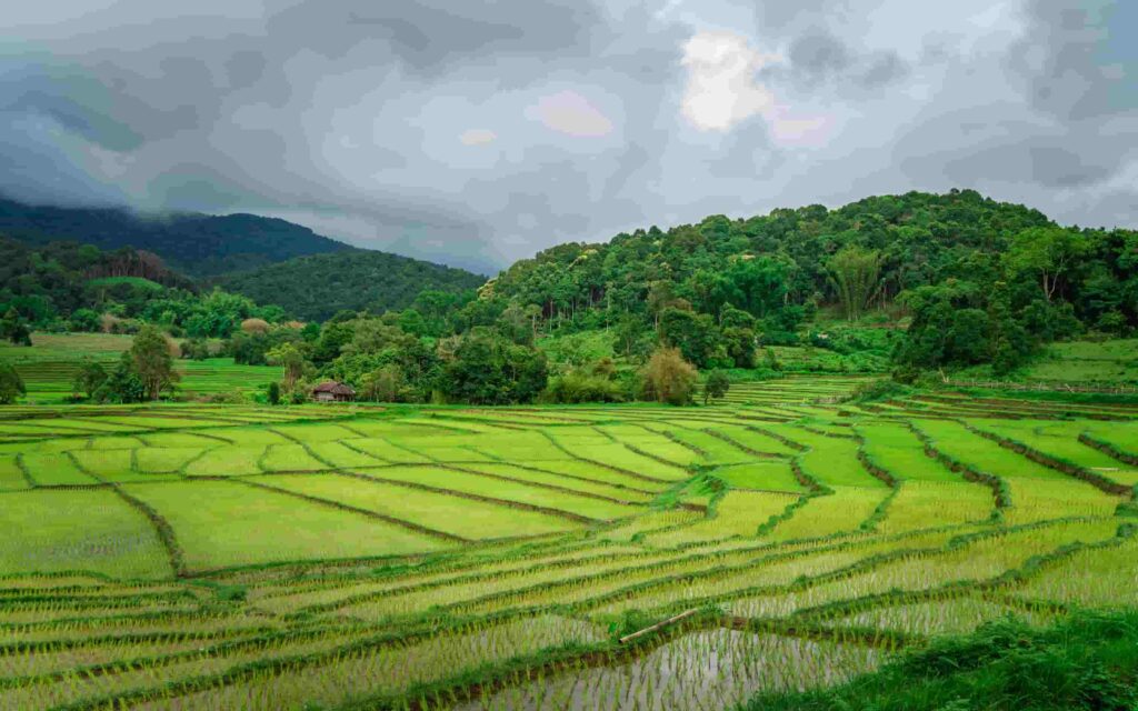 ảnh thiên nhiên đẹp 3d