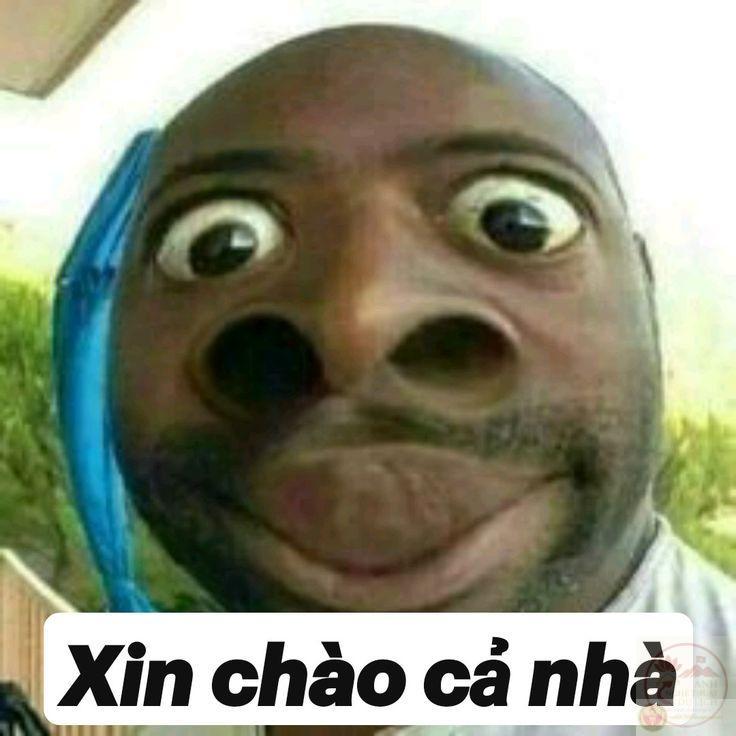 Hình ảnh chế hello hài hước giúp lời mở đầu thêm phần thú vị và sinh động