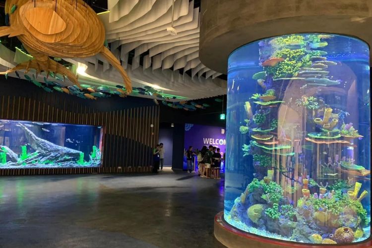 Thủy cung Lotte World - địa điểm chụp ảnh ở Hà Nội