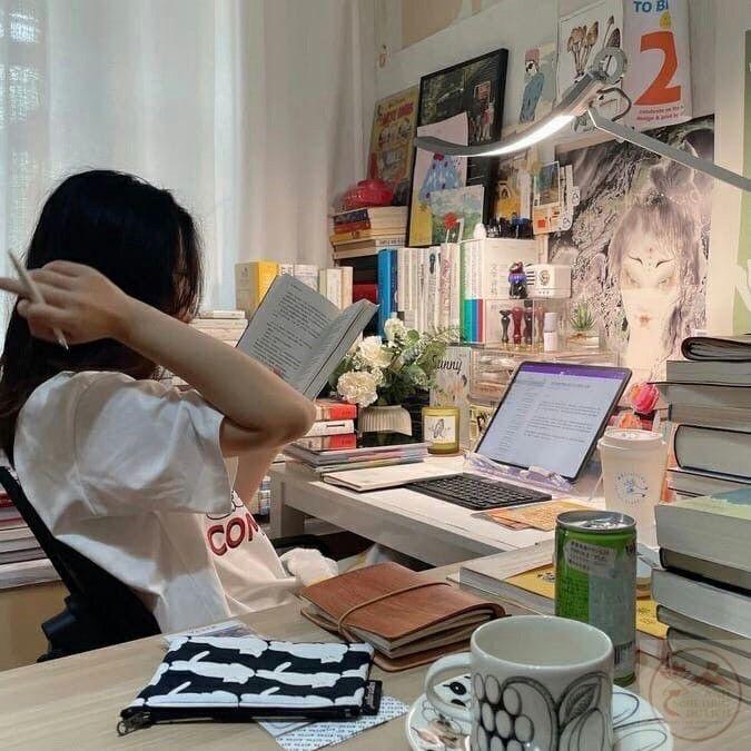 Ôn thi ảnh học tập chill
