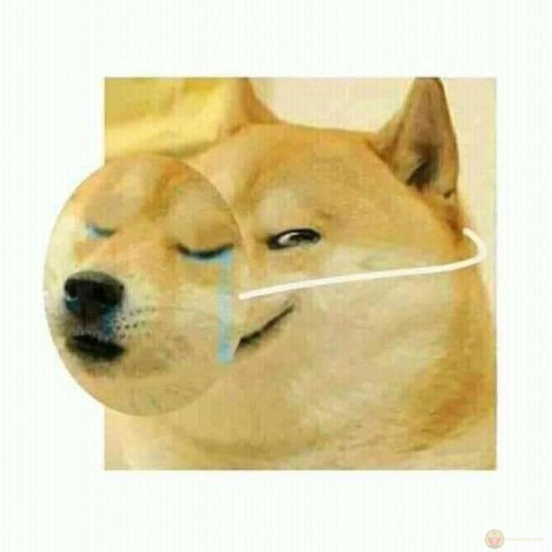 Me after exam: