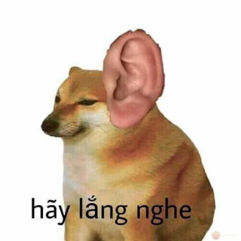 Không có kiến thức nhưng có tâm Cheems