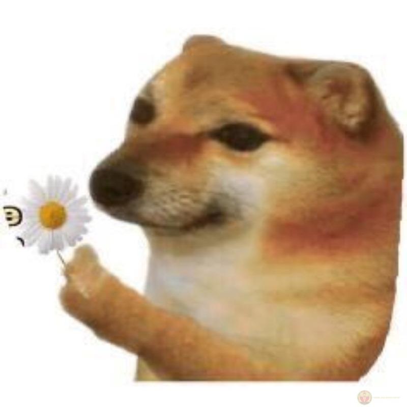 I go mleep, don
