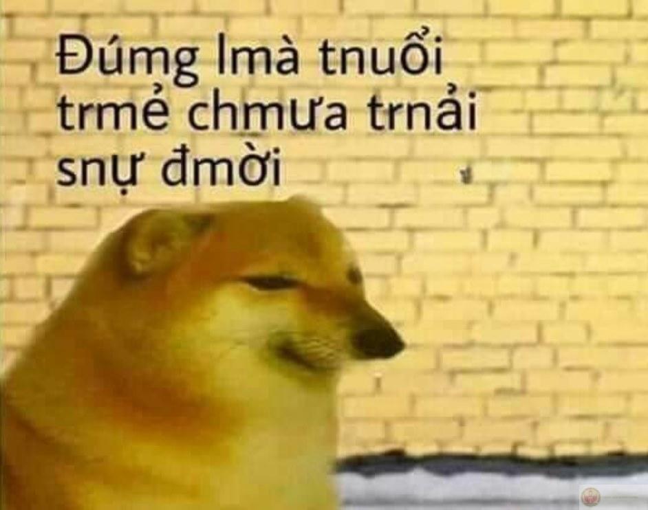 Hình ảnh Cheems đang nói tiếng người đầy tự tin