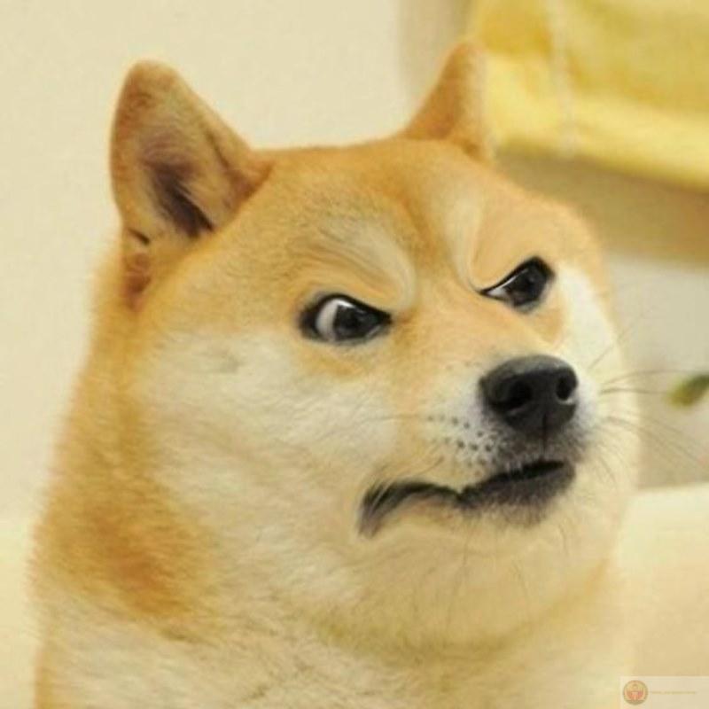 Có ai nói sai dễ thương như tui không?