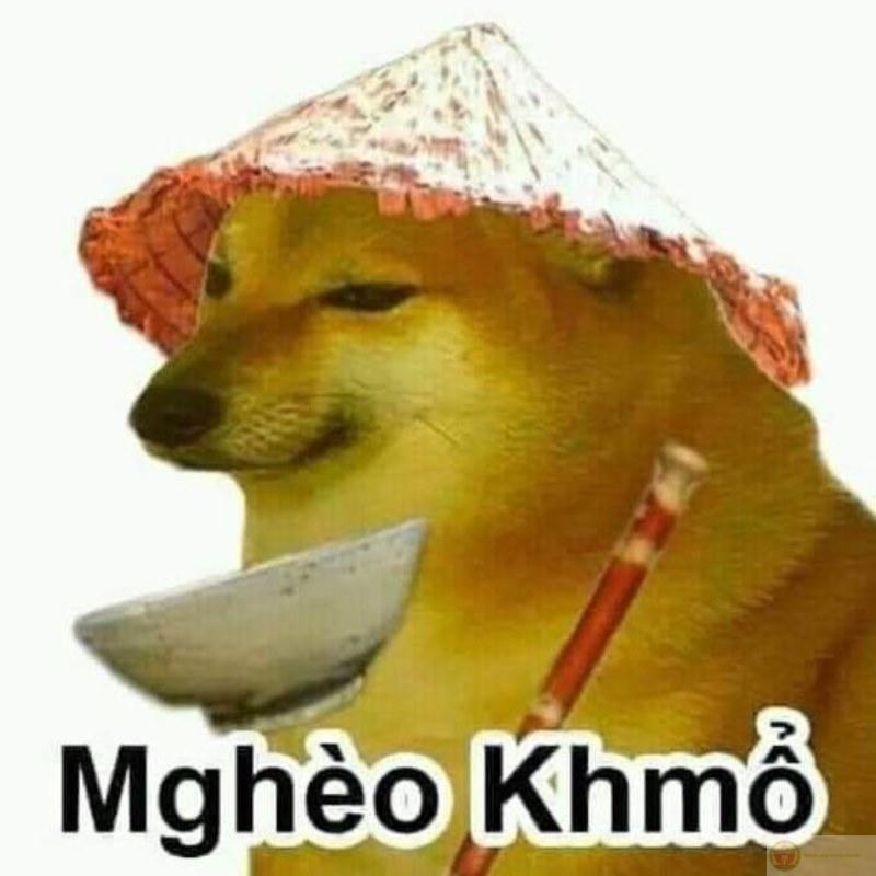 Cheems không sai, chỉ là thế giới chưa hiểu