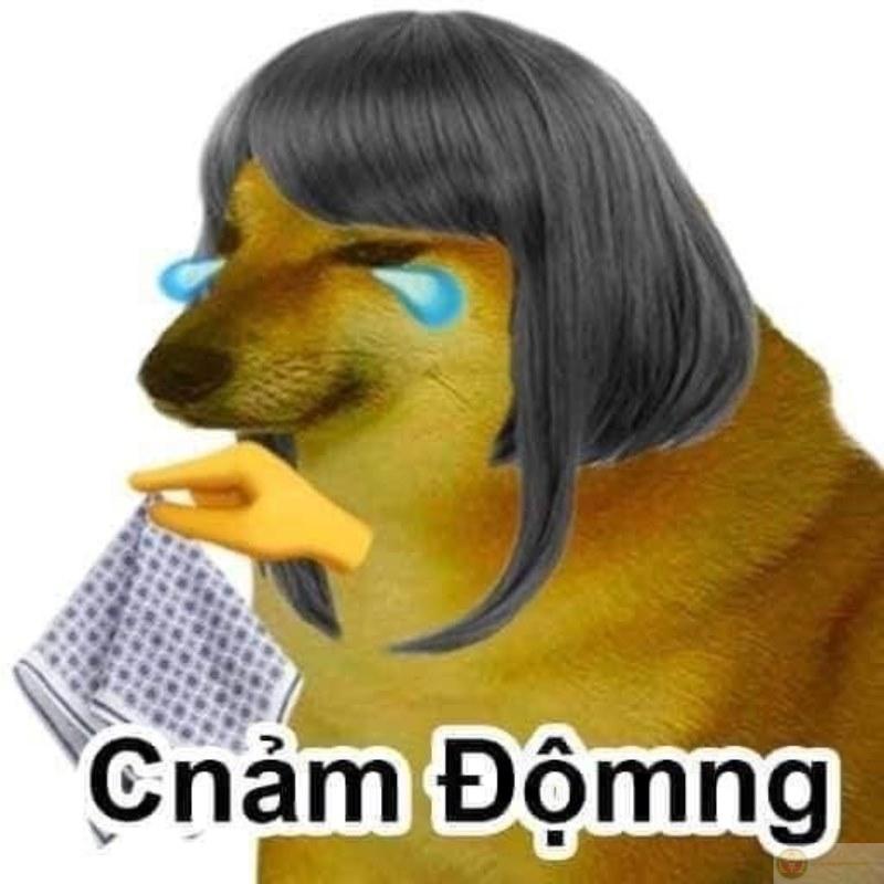 Meme cheems bonk