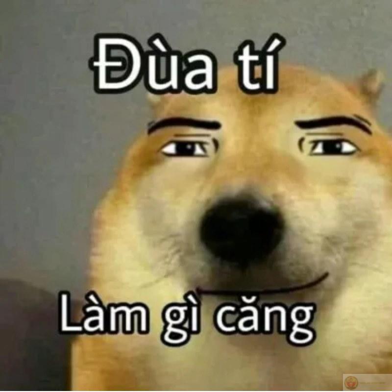 Tui nói từ ngữ như đang thí nghiệm cảm xúc