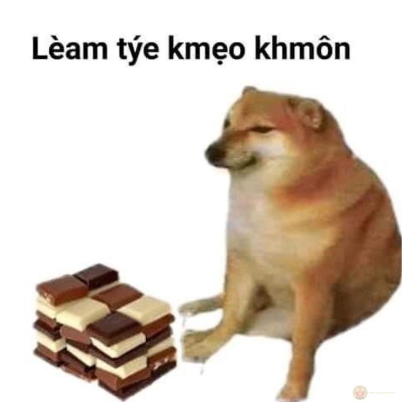 Tui lú nhẹ thôi, chứ thật ra lú nhiều