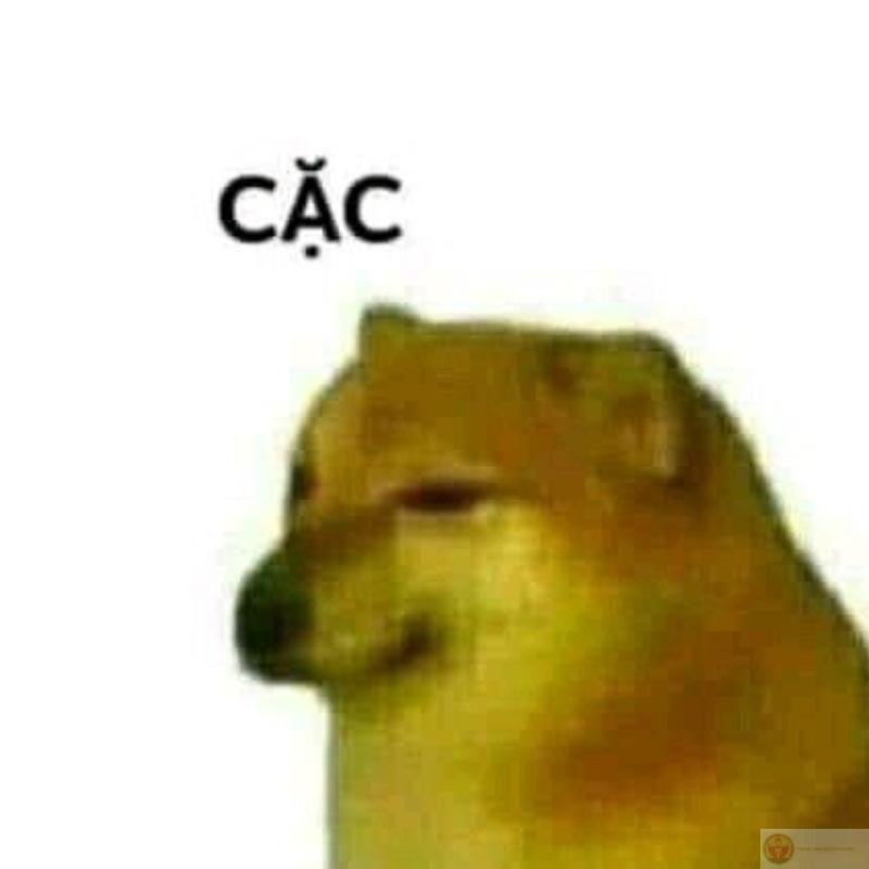 Meme shiba