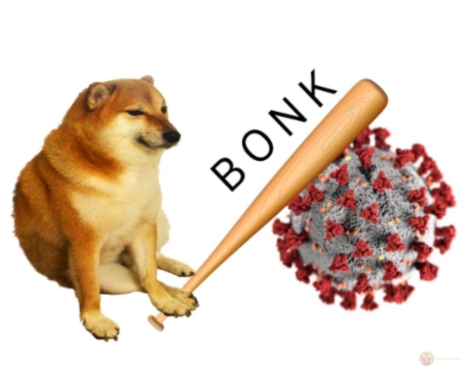 Meme dog