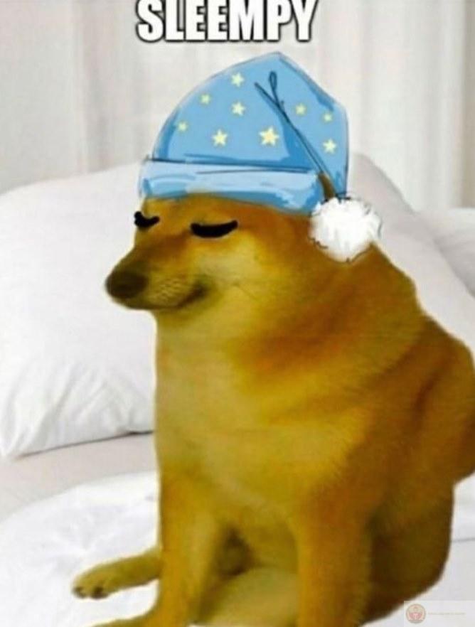 Ảnh Cheems meme