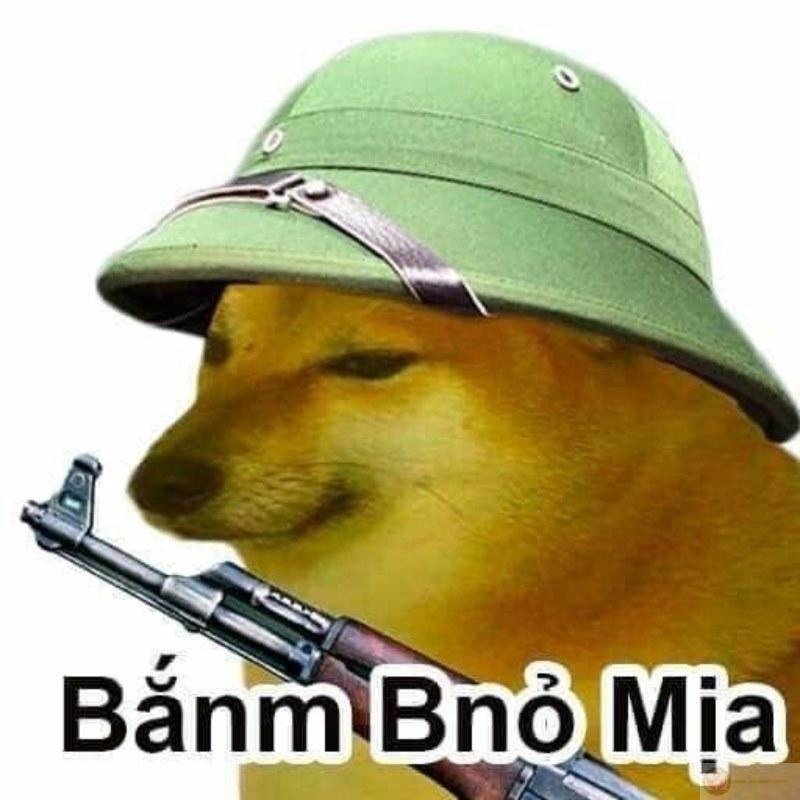 Hình Cheems meme