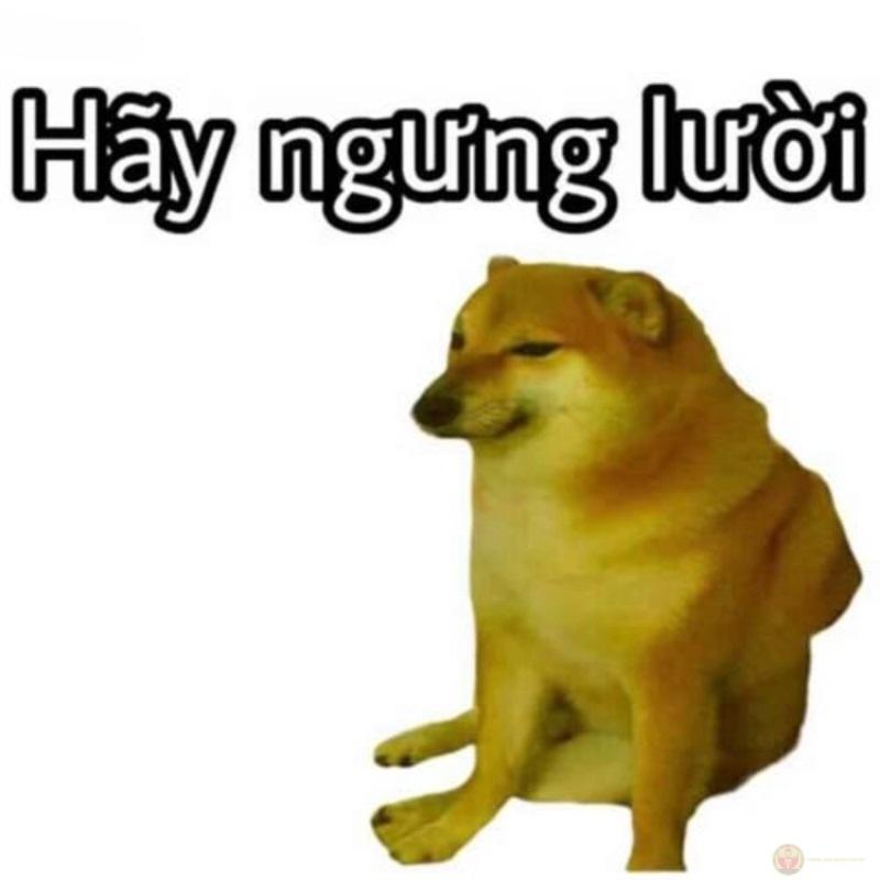 Me speak wrong but still confident