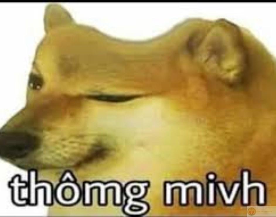 Me use big word but use it wrong