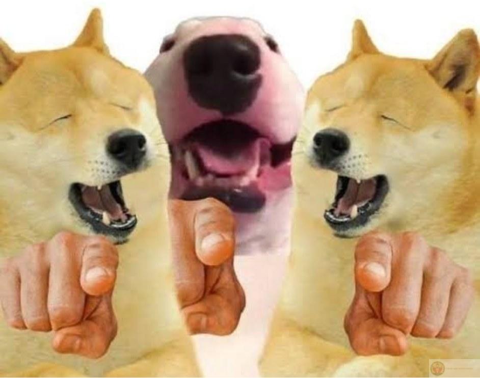 Não không lag, chỉ đang ở chế độ Cheems