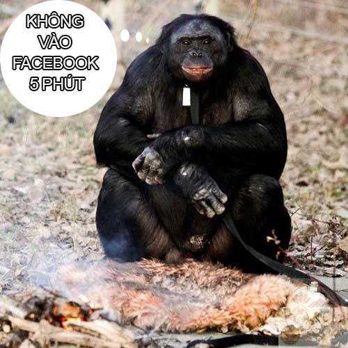 meme hài hước tối cổ