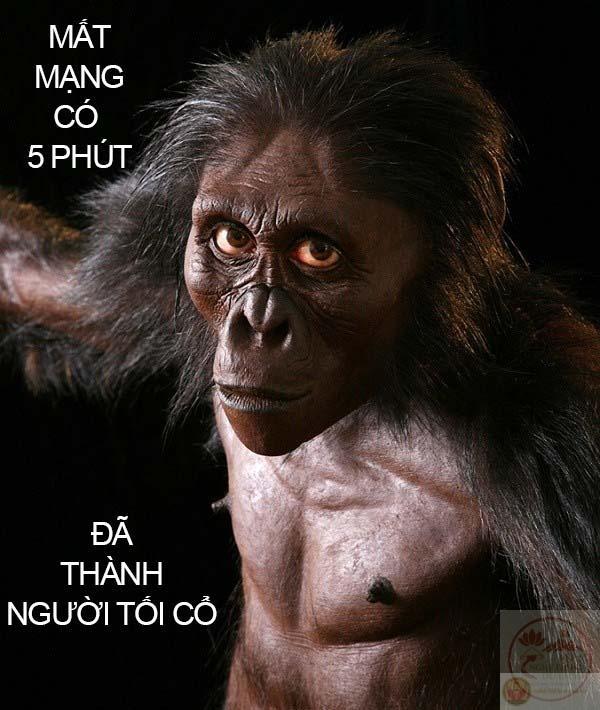 Hình ảnh meme con khỉ tối cổ