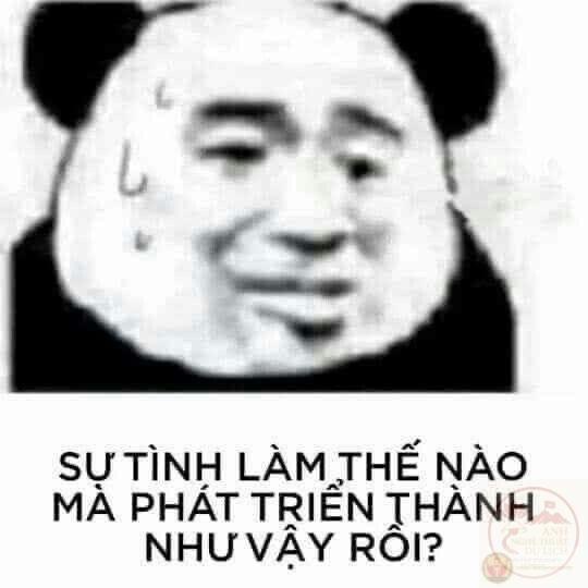 meme gấu trúc tối cổ hài