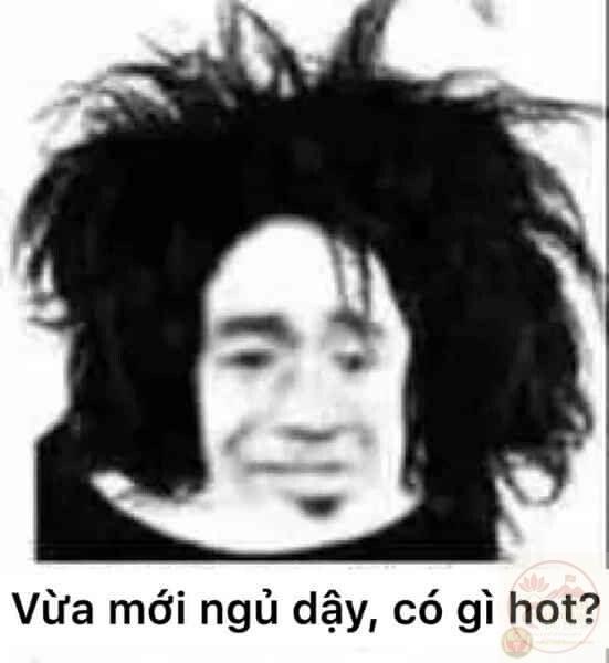 meme gấu trúc tối cổ