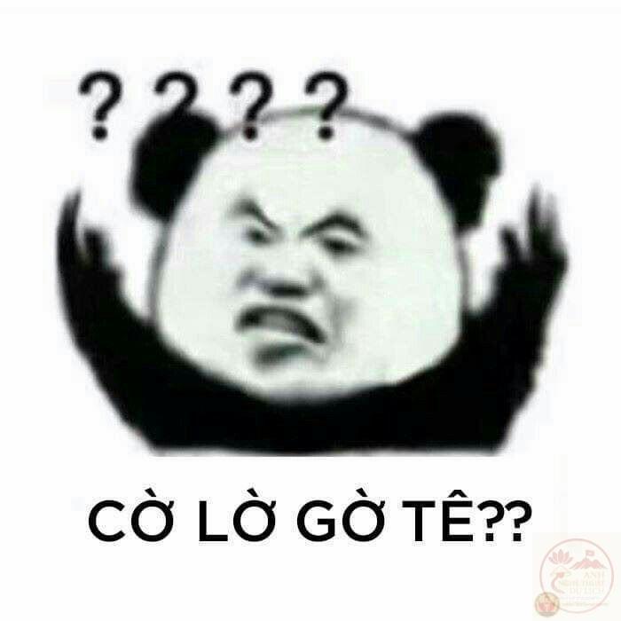 ảnh meme gấu trúc tối cổ