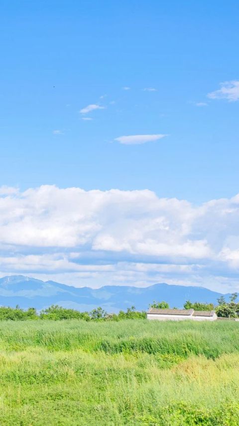 hình nền chill