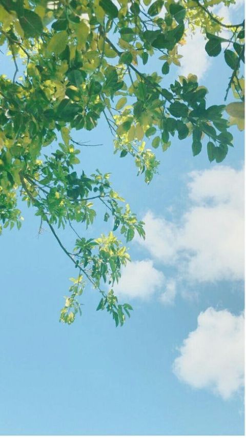 hình nền chill
