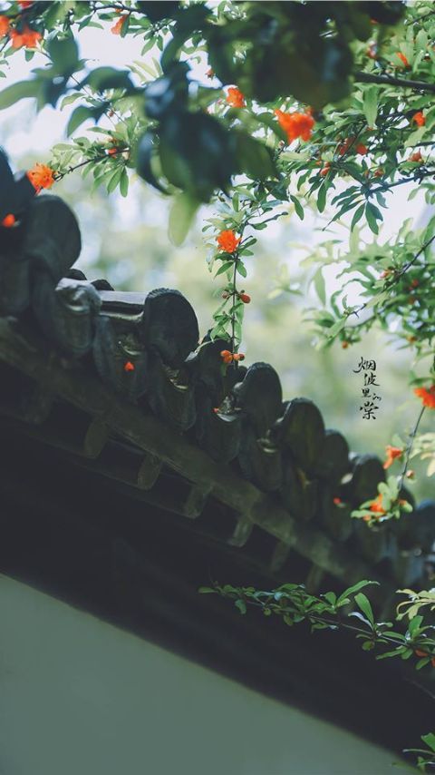 hình nền chill