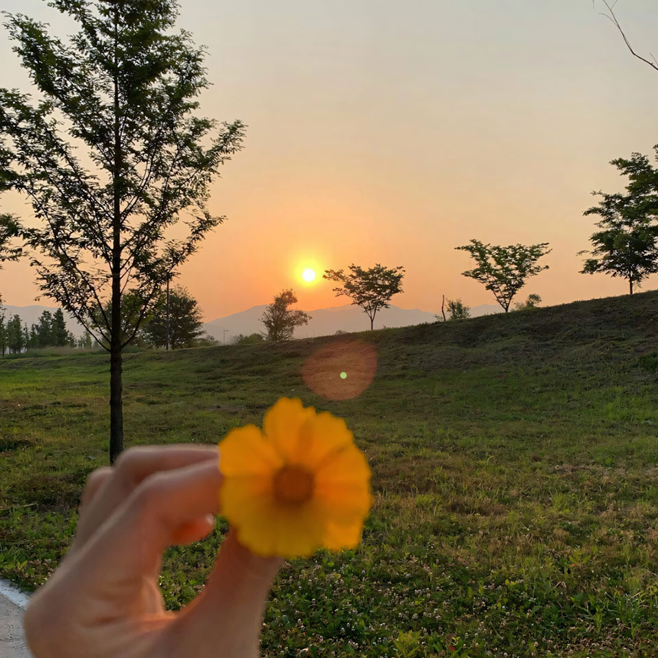 avatar hinh anh hoa dai buon 960px 960px avatar 3