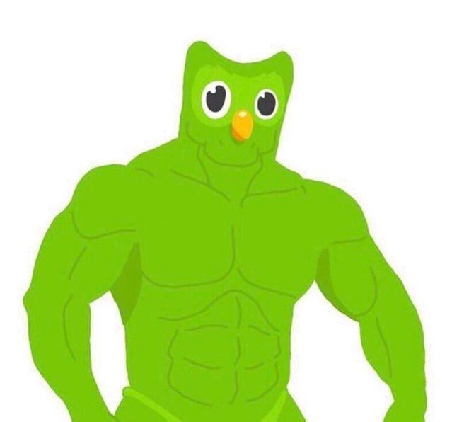 Người xem cảm nhận được sự gần gũi thân thiện khi bắt gặp Duolingo meme mỗi ngày
