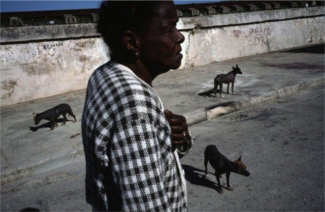 alex webb3