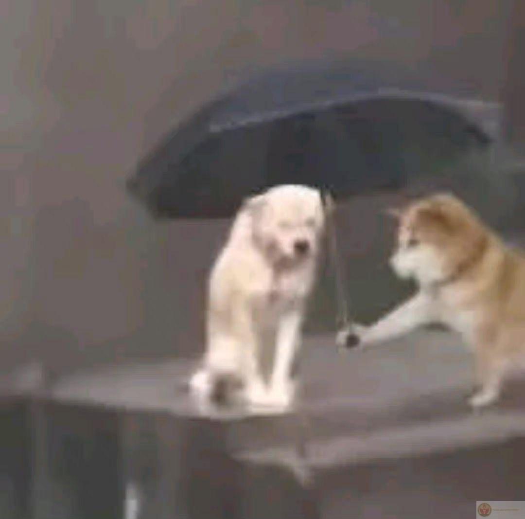 Tôi từng nghĩ người đó sẽ ở lại