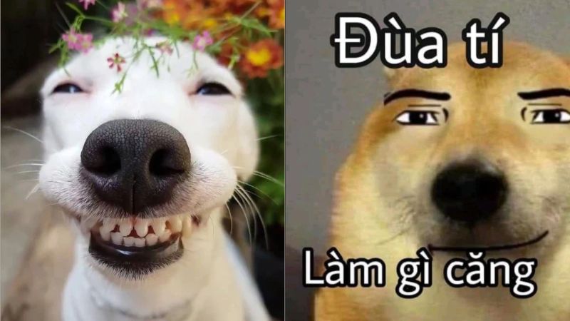 anh-meme-hai-23