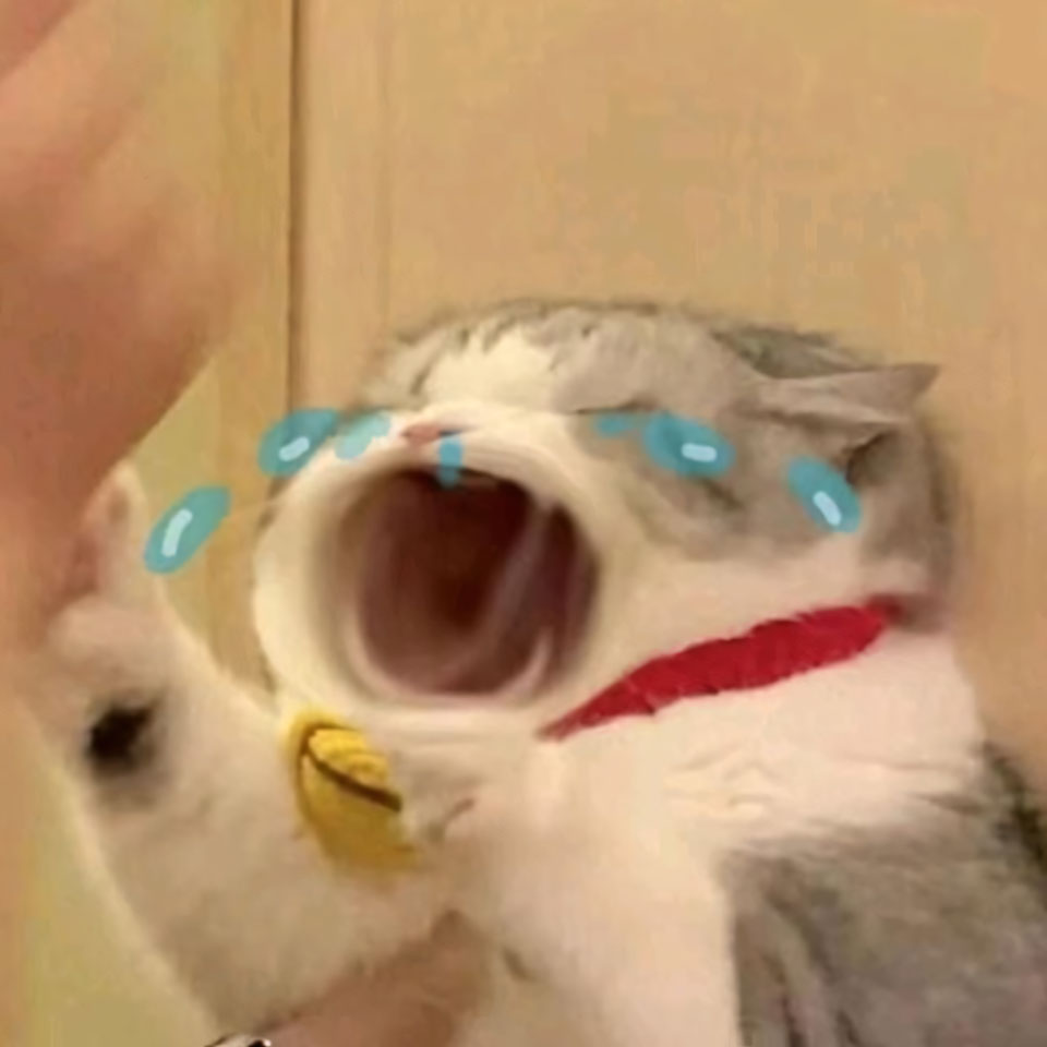 anh meme meo buon 960px 960px avaatar 5