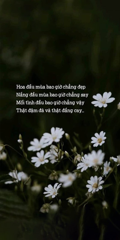 hình nền điện thoại buồn về mối tình đầu