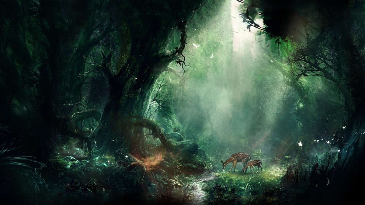 Hình nền 1920x1080 sống động