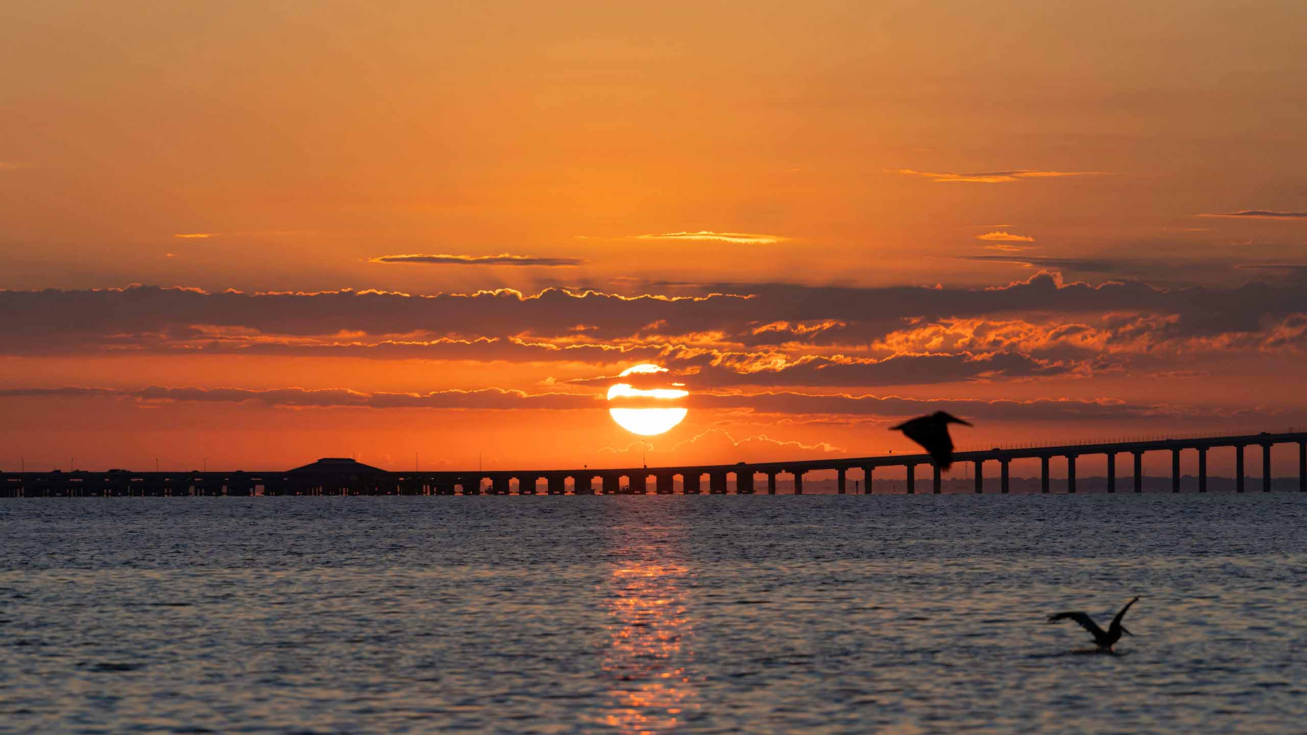 hinh anh bien buon hoang hon 2560px 1440px 2k 14