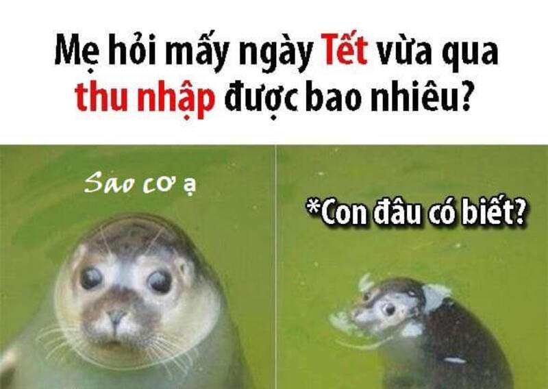 Bất ngờ chưa hai ơi