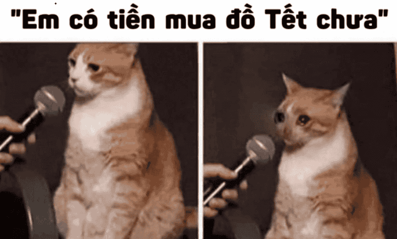Là thưởng Tết dữ chưa???