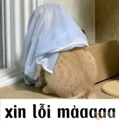 Tôi thật sự xin lỗi… nếu điều đó khiến bạn vui