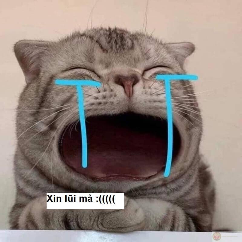 Mỗi lần xin lỗi là một lần diễn sâu
