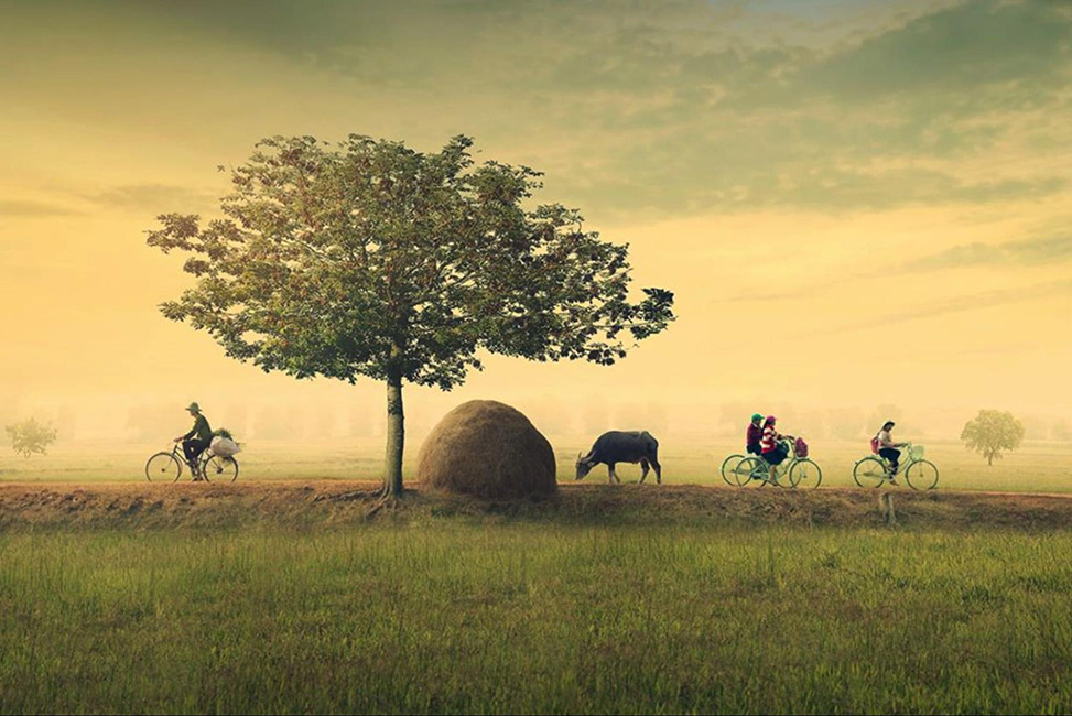 Ảnh chill miền quê nông thôn