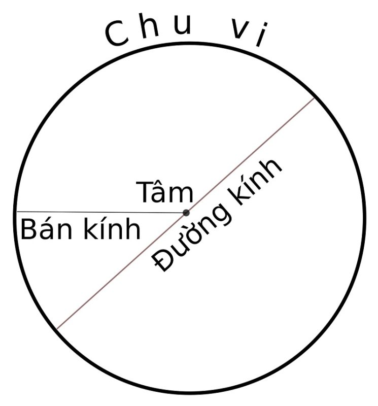 Bán kính hình tròn là gì? Cách tính bán kính dễ hiểu, có ví dụ minh họa