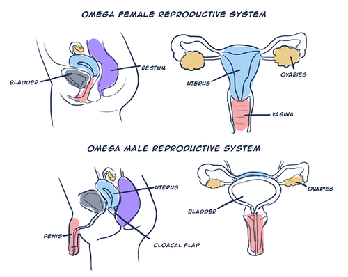 tumblr_inline_myqzdgtOZf1ssy9ks